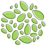 Top Seedz